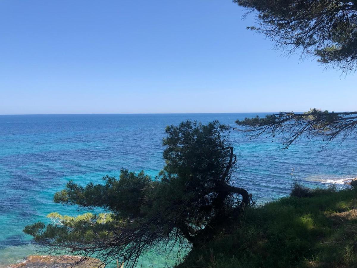 Fabiola 1 Lejlighed Calpe Eksteriør billede